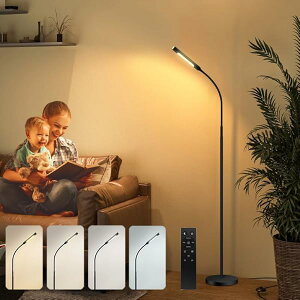 yzy2025Vo 2݌vztACg ԐڏƖ X^h tAX^hCg tAv  12W iK 10iKF R ^C}[@\ tBbgXCb