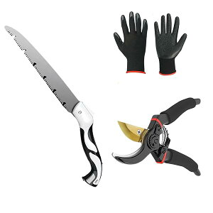 yz3_Zbgt |p ܍̂ ʋCƖh K[f  oT~ Kтɂ |p͂ K[fjO }؂͂ ϗtA SK-5X`[n m