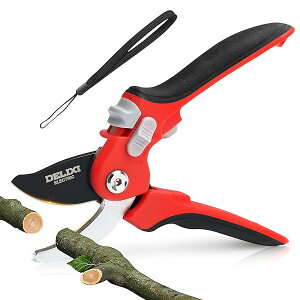 yzoT~ |p  SK85Yf| yʃA~ 2iKJ 35mm }Ή hKH SbNt |nT~ ʎ  ~ ϗtA K[fjOp ͂ 