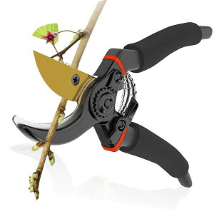 yzoT~ ΂݁yt̂߁zSK-5Yf|n bN@\ }؂oT~ Kтɂ [ɕ֗ y ₷ ΂ |nT~   K[fp