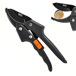 yzoT~ ΂  |nT~ }؂oT~ SK5Yf|n A~nh ₷ yʉ Kтɂ |p͂  ʎ ~ 뉀 ϗtA |pi