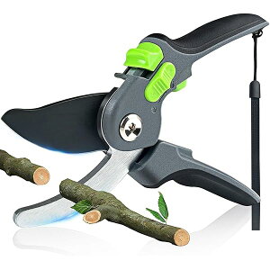 yz|poT~ 2iK߉\ y2025lCtEz΂ ₷TNTN؂ lC  SK5Yf|   }؂ ʎ ~ 뉀   ͂ y