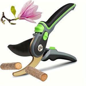 yzy2025ŐVfUClCtEzoT~ ΂  nT~ }؂oT~ ͂ 2iK߉\ SK5Yf| A~ Kтɂ tbfR[eBO J