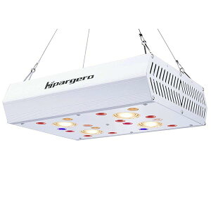 yzHG800 LEDA琬Cg tXyNg(UV/IRΉ) HPSɑ 800W k͔|/ϗtAp/͔|eg 2̃XCb` OޏƖ[h 50,000Ԓ |Cgi800j