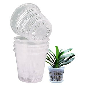 yzv^[ Aؔ vX`bN Xbg  ~` I[Lbh|bg ϗtA A A t 󂯎Mt Ӓ c|bg |pi 5_Zbg 16cm