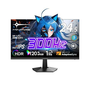 yzQ[~Oj^[24.5C`/300Hz/180Hz/tHD/ Fast IPSpl/OD 1ms/Adaptive Sync/5N/`g/HDMI2.0×2ADP1.4×2/DC1-P390%/120%sRGBLF/1
