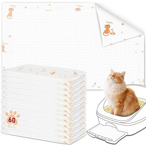 yzL gCV[g 60 L V[g jƂgC ݊i ͒EL ybgV[c 1TԂɂȂ 