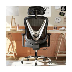 yzlԍHw ItBX`FA bV`FA - 3D ߍ & 3D A[XgAV obNfUC ʋCǍD fXNp Jy z[ItBXK ubN