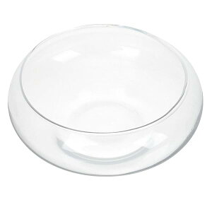 yzAؔ ReinEX k͔|v^[ A̐O[u A f  planter 炷 v^[|bg tBbV{Ez_[ 㐅 KX