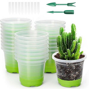 yzc|bg 24Zbg qgC 琬|bg  \tgVRx[X V̈ڐAȒP c Zbg ܂nEX ؁EԂ̈cp A |pi ƒ؉ ʋC