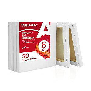 【送料無料】張りキャンバス セット S0 (18cmX18cm) 中目 100%コットン 6枚 初心者 絵画用具 芸術絵創作 現代油絵 美術装飾 水彩画・油絵画・アクリル兼用