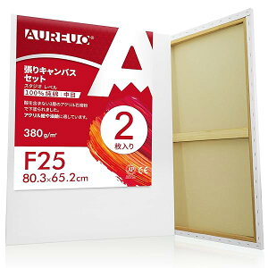 【送料無料】張りキャンバス セット F25 (80.3cmX65.2cm) 中目 100%コットン 2枚 初心者 絵画用具 芸術絵創作 現代油絵 美術装飾 水彩画・油絵画・アクリル兼用
