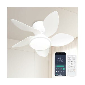 yzV[Ot@Cg VƖ 5H 55W 4500lm 8~10 KiF //g 6Kiʒ t] ^C}[@\ [@\ É 铔[h X}[gR