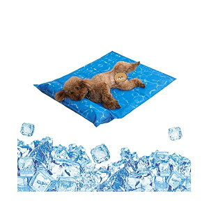 yzЂ}bg t WF}bg ybg N[}bg  L ėp  p}bg ⊴ ₽pbh GRN[[ M ΍ h n ^ybg 50*80cm 