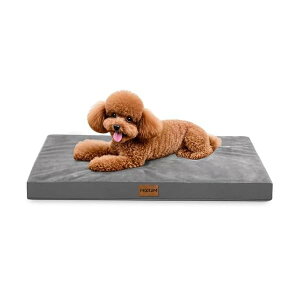 yzybgNbV oʃfUC ē~p h pxbh Lxbh ̈U  ʋC xbh I[V[Y pNbV 􂦂ybgxbh}bg ^