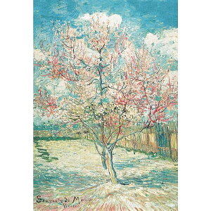 yzWO\[pY }CNs[X 1000s[X pY tBZgEt@ESbzuԍ炭̖؁v i A[g G    A v[g a NX}X  