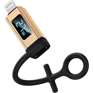 yzTypec Lightning ϊ ^Cvc CgjO ϊ PD 27W}[d o̓fBXvC iPhone ϊA_v^ USB CgjO ϊ USB Lightning ϊ (1)