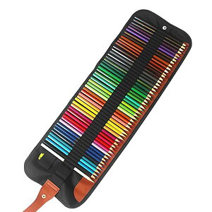 yzFM 낦҂ 50F l̓hG ރZbg   w LOi wZޗp G̋ M