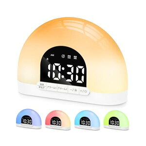 yzڊo܂v y2025Vf /xA[ݒz oČ 7ނ̎R FCg ߂܂v 剹 A[ Xk[Y 10iK̉ʒ/邳 ڊo܂