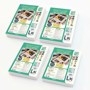 yzʐ^V[p   CNWFbg l 400 e