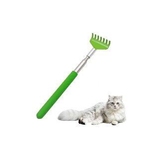 yzL LuV тƂ _ LЂE炵 RpNgŎ^т₷ Sf Kxȍd