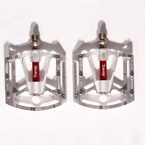 yzMTB ]ԃy_ x y DUxAO NXoCNy_ (Vo[)