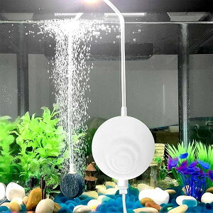 yzGA[|v ^GA[|v 0.3L / MinC̔ro C|v ᑛ Iɐ/̎_f񋟉\ (zCg)