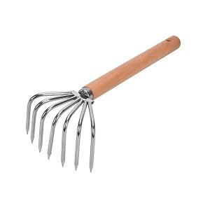 yzF tF F pr ؐnh XeX| K[fjOc[ Onh 7