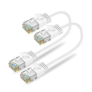 �y���������zCat6A LAN�P�[�u�� �Z�������P�[�u�� 0.3m 2�{�Z�b�g RJ45�R�l�N�^ 10Gbps �T�[�o�[ ��