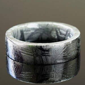 MxI覐 OEwց@izXJbgj p[Xg[ VR FORESTBLUE tHXgu[y5784z