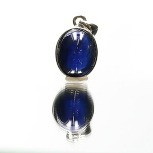 �J�C���i�C�g �y���_���g�g�b�v �i18���z���C�g�S�[���h�j No.22 [ �摜�����E��_�� ] �p���[�X�g�[�� �V�R�� FORESTBLUE �t�H���X�g�u���[�y6111�z