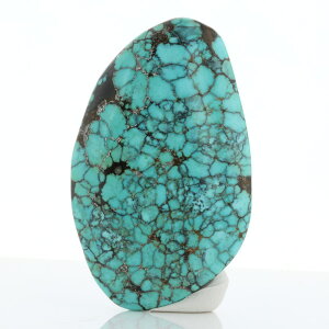 ^[RCY [X iAJYj No.21 [ 摜E_ ] p[Xg[ VR FORESTBLUE tHXgu[y8998z