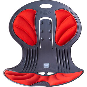 y[zyzDCT Vg̈֎q p𐳂pCX Ճ`FA ubN DCT-700-BK DCT-700-R K