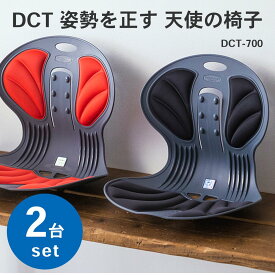 【エントリーで最大ポイント22倍】【即納】【送料無料】【2個セット】DCT 姿勢を正す 天使の椅子 姿勢矯正イス てこの原理を利用した高弾力素材 2台セット