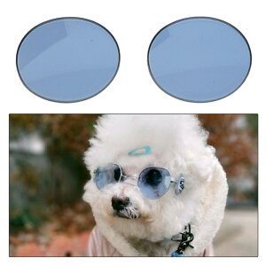 yE[֌zpTOX pY Ŷ UVJbgY p ݌v TOX  U T|[g ybgp ڂ̕ی daengs_eye FF-SGL _FF