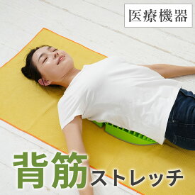 [限定200円クーポン]【送料無料】アイソスパイン 背中 痛みの緩和 胸椎 腰椎 ストレッチ 抹消神経を刺激 一般医療機器 非能動型接触鍼 アイソライフ アイソメディカル FF-IBACKS 4595316407897 _FF