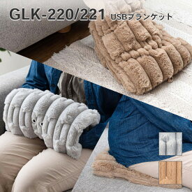 USBブランケット ブランケット あったかグッズ 冷え性対策 ポコポコ ポケット付き コンパクト かわいい おめめ 目 個性的 ヒーター クッション 収納 洗濯 ベージュ GLK-220 秋冬 _az