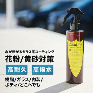 [300~N[|zz]yzFlukeForest(t[NtHXg) }[xXR[g ] KXnR[eBO ԕ ΍ ϋv    J[pi R[eBO P