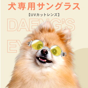 y300~OFFI9zyzp TOX UVJbgY p ݌v TOX  U T|[g ybgp ڂ̕ی oh daengs_eye FF-SG _FF