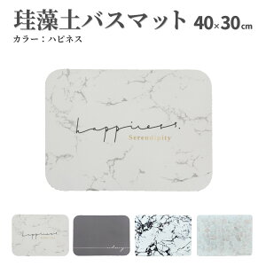 \10/28〜全品対象ポイント10倍/ バスマット 珪藻土 マット 選べる4種 柔らか 洗える 割れない 速乾 珪藻土 ソフト 40cm 速乾 瞬間吸水 防カビ 浴室 滑り止め 大理石 プレゼント 風呂マット 足