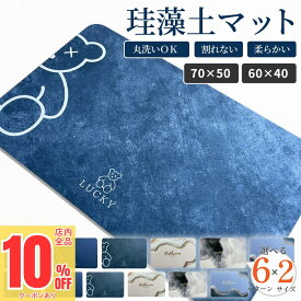 ＼先着79枚限定！10%OFFクーポン／ 大理石調 バスマット 珪藻土バスマット 珪藻土マット 珪藻土 マット 柔らか 速乾 ノンアスベスト 大きい 小さい サイズ 大判 ソフト 足拭き お風呂 キッチン 吸水 浴室マット 冷たくない 足拭き