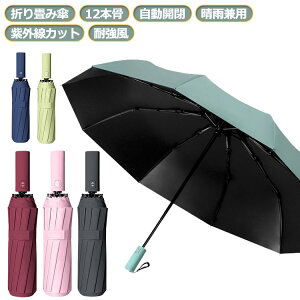 P  JP fB[X Y amP ϕP P JT 12{  ʋ J  y ܂肽 ܂肽 P  Jp 傫 ϋv jp lC Ռ 傫 