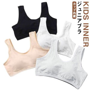 Jbvt n[tgbv WjAu t@[Xgu ̎q  Jbv uW[ mC[ WjA LbY w w Ci[ LbYu q uW[ u ug