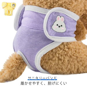  }[LOh~ Jo[ Tj^[ Tj^[pc ^ ` hbOEFA Tj^[xg    Ic oh }i[pc  ivL ނ pi q o