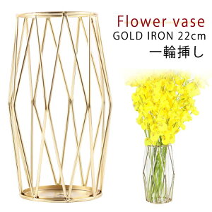 Ԃт t[x[X S[h hCt[ ԕr   킢 ֑} ACA k  22cm 傫 t[x[X ~ V_[ CeA Vv kG 