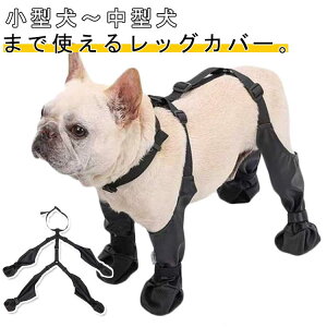 bOJo[ ^ ^ TXy_[ o O U l{pc h~ Xy_[tppc  ~  ی EȂ ߉\ U ~J pbOJo