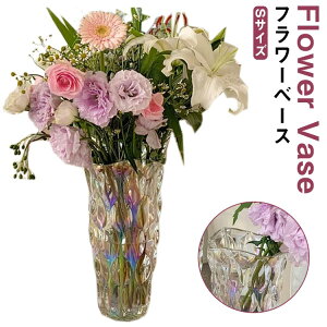 STCY F t[x[X KX KX  ԕr AeB[N NA ԕr KX ֑} u[P   т KX ԕr k [^ Ԃт Ԋ   O[ 