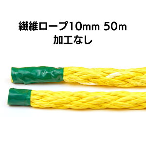 �@�ۃ��[�v 10mm 50m ���H�Ȃ��@DS���[�v10mm