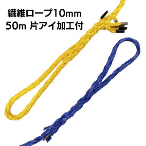 �@�ۃ��[�v 10mm 50m �ЃA�C���H�@DS���[�v10mm
