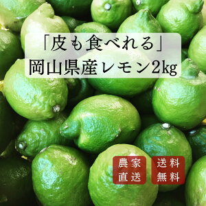 y܂ŐHׂzR  Y  2kg ˓  m[bNX _sgp h hJr sgp  킯ʕ